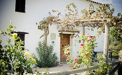 Rancho Calvillo en Prado Del Rey (Cádiz) - Foto 4