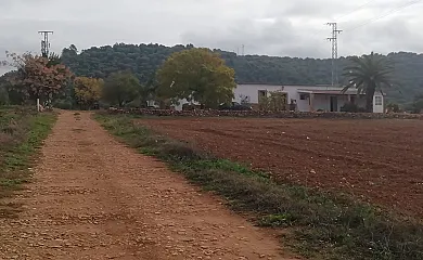 Santa Catalina en Villamartin (Cádiz) - Foto 25