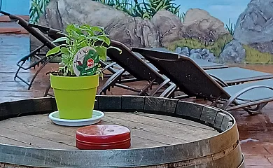 La Casita de La Jara en Alcaudete de la Jara (Toledo) - Foto 22