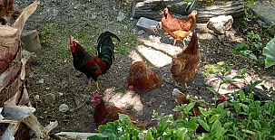 Paraje el Fontanal 0034