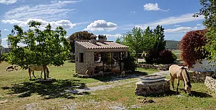 Finca Pura Vida 0045