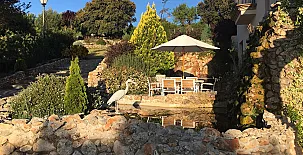 Finca Pura Vida 0046