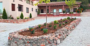 Finca Pura Vida 0050