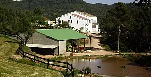 Mas Set Rengs Agroturismo 007