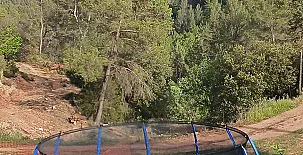 Mas Set Rengs Agroturismo 0020