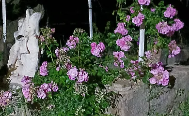 Mas Set Rengs Agroturismo en Sant Salvador de Guardiola (Barcelona) - Foto 22