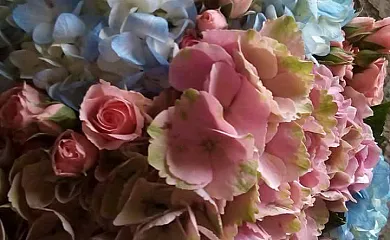 La Labriega en Colunga (Asturias) - Foto 11