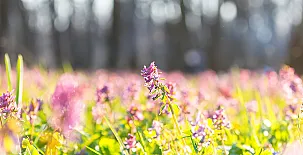 Casa Rural La Huerta de la Abuela Pilar 007