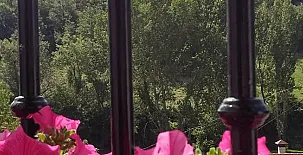 Apartamentos Daroca 006