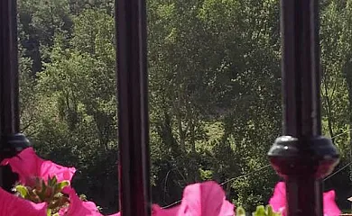 Apartamentos Daroca en Daroca de Rioja (La Rioja) - Foto 6