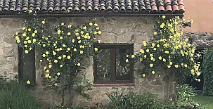 Casa Rural Los Robles 004