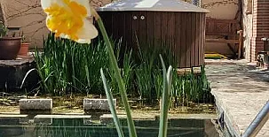 Viento de Ladera 005