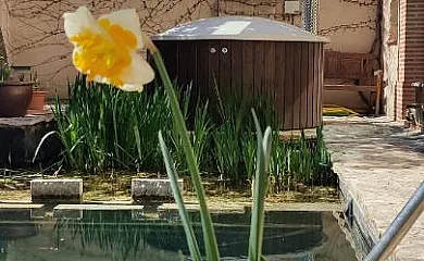 Viento de Ladera en Fuentemilanos (Segovia) - Foto 1