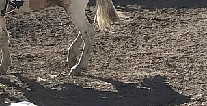 Casa Mamica Rosario 004