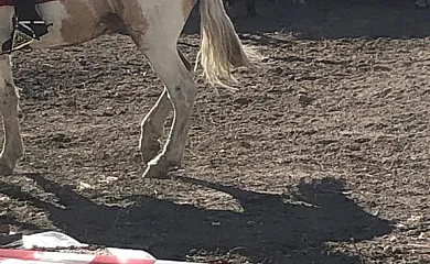 Casa Mamica Rosario en Yegen (Granada) - Foto 4