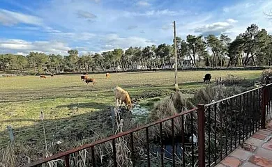 Paraje de Constanzana en Bernardos (Segovia) - Foto 9