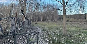 Paraje de Constanzana 0012