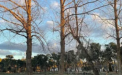 Paraje de Constanzana en Bernardos (Segovia) - Foto 13