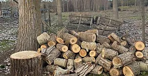 Paraje de Constanzana 0017