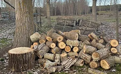 Paraje de Constanzana en Bernardos (Segovia) - Foto 17