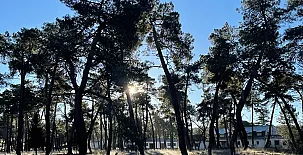 Paraje de Constanzana 0025