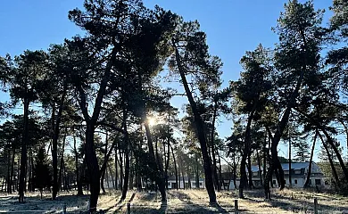 Paraje de Constanzana en Bernardos (Segovia) - Foto 25