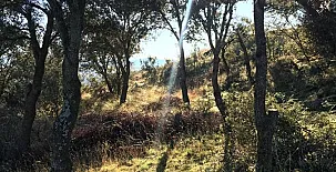 Paraje de Constanzana 0028