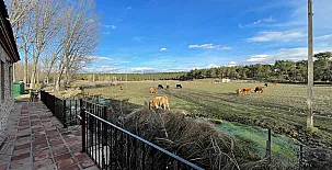 Paraje de Constanzana 002