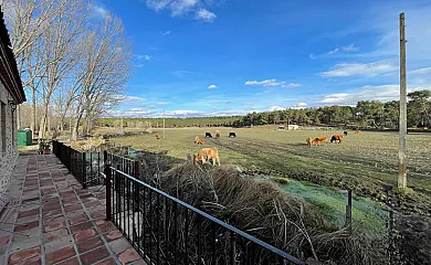 Paraje de Constanzana en Bernardos (Segovia) - Foto 2