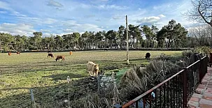 Paraje de Constanzana 0037