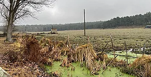 Paraje de Constanzana 0039