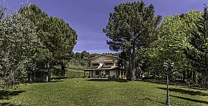 El bosque de la Herrezuela 002