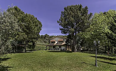 El bosque de la Herrezuela en Guisando (Ávila) - Foto 1