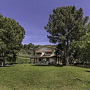 El bosque de la Herrezuela 001