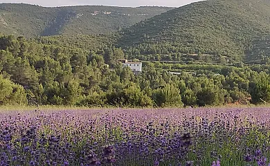 Eco Maset en Aielo de Malferit (Valencia) - Foto 1