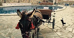 Casa Rural Superior Finca la Herencia 0025