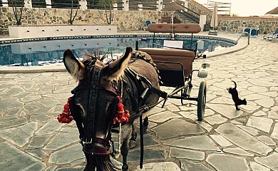 Casa Rural Superior Finca la Herencia en Guadalcanal (Sevilla) - Foto 25