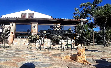 Casa Rural Superior Finca la Herencia en Guadalcanal (Sevilla) - Foto 21
