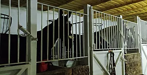 Casa Rural Superior Finca la Herencia 0040