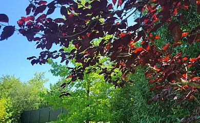 Jesuskoa en Zumaia (Guipuzcoa) - Foto 19