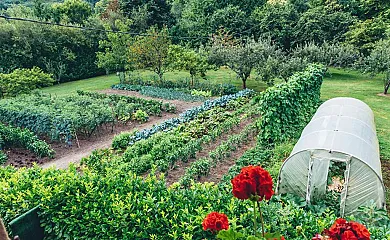 Jesuskoa en Zumaia (Guipuzcoa) - Foto 22