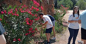 Casa Rural Villanatura 0049