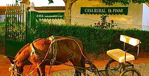 Casa Rural El Pinar 002