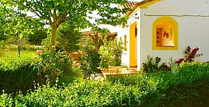 Casa Rural El Pinar 004