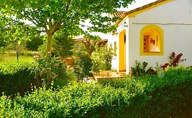 Casa Rural El Pinar en Talavera de la Reina (Toledo) - Foto 4