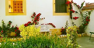 Casa Rural El Pinar 005