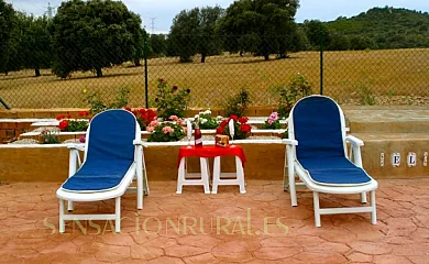 Casa Rural El Pinar en Talavera de la Reina (Toledo) - Foto 15