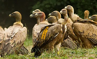 Casa Rural Txastarena en Urritzola (Navarra) - Foto 7