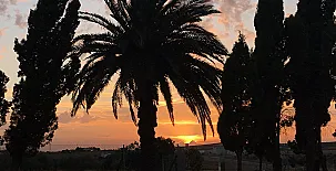 El Mirador del Abuelo 005