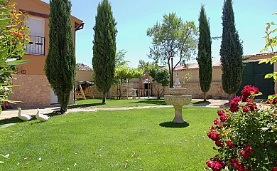 Casa Rural Valle del Duero en Langa de Duero (Soria) - Foto 2